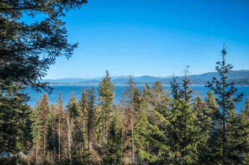 A serene view of a lake surrounded by evergreen trees and distant mountains under a clear blue sky.